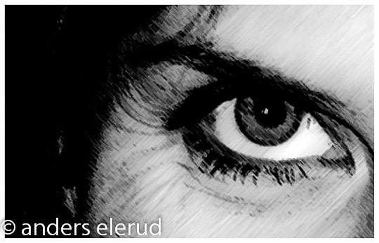 Sparrow Eye  /  