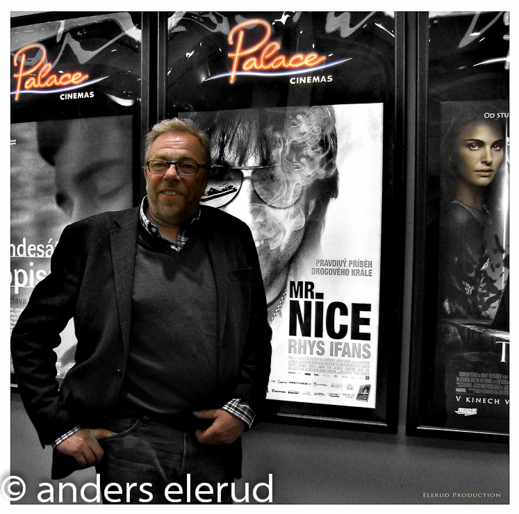 Mr Nice